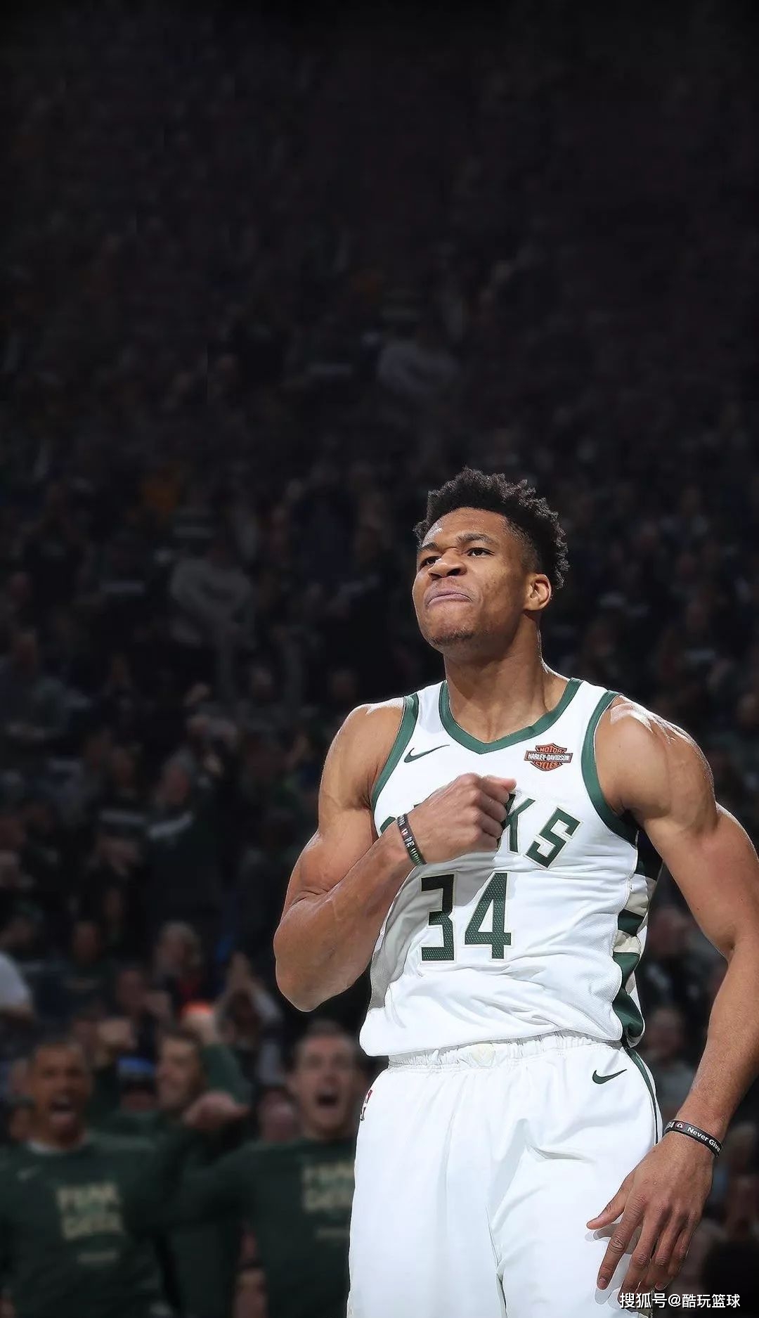 放世界AR 放世界AR